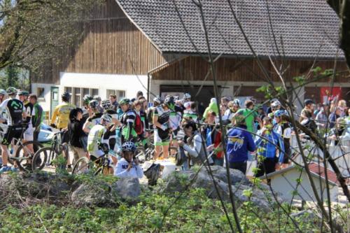 IMG 2908-Medium-1024x682