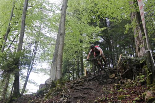 IMG 6949-1024x682