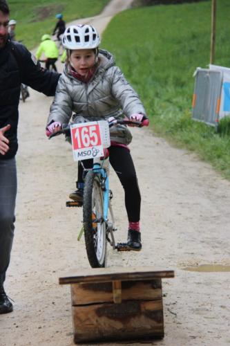 IMG 7065-682x1024
