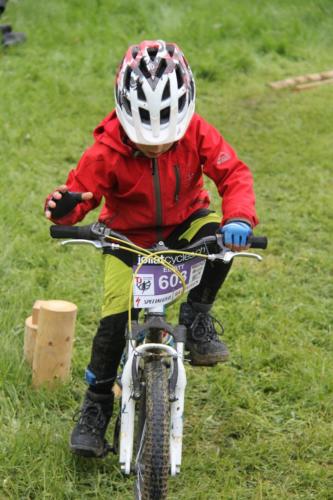 IMG 7088-682x1024