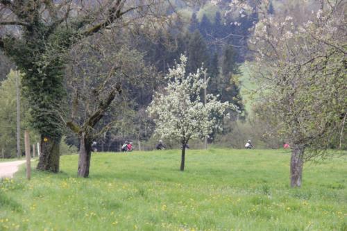 IMG 7205-1024x683