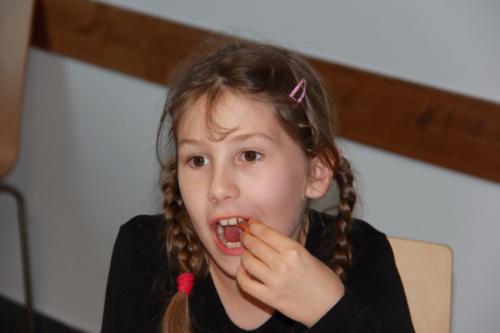 IMG 0913-Small